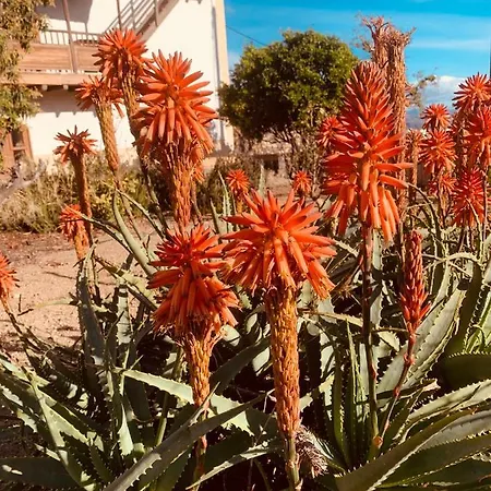 Finca Tierra de Natura *